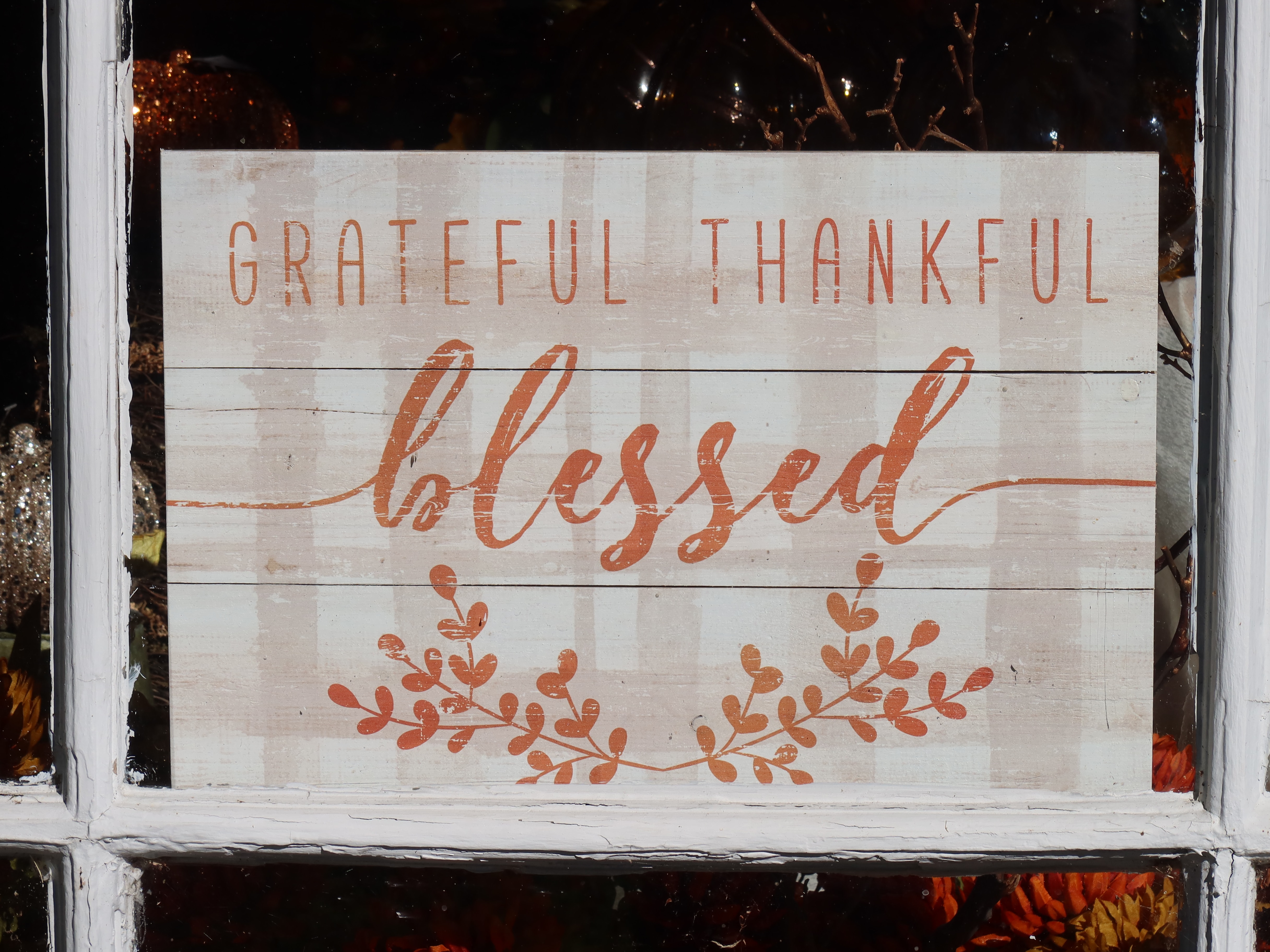 Gratitude